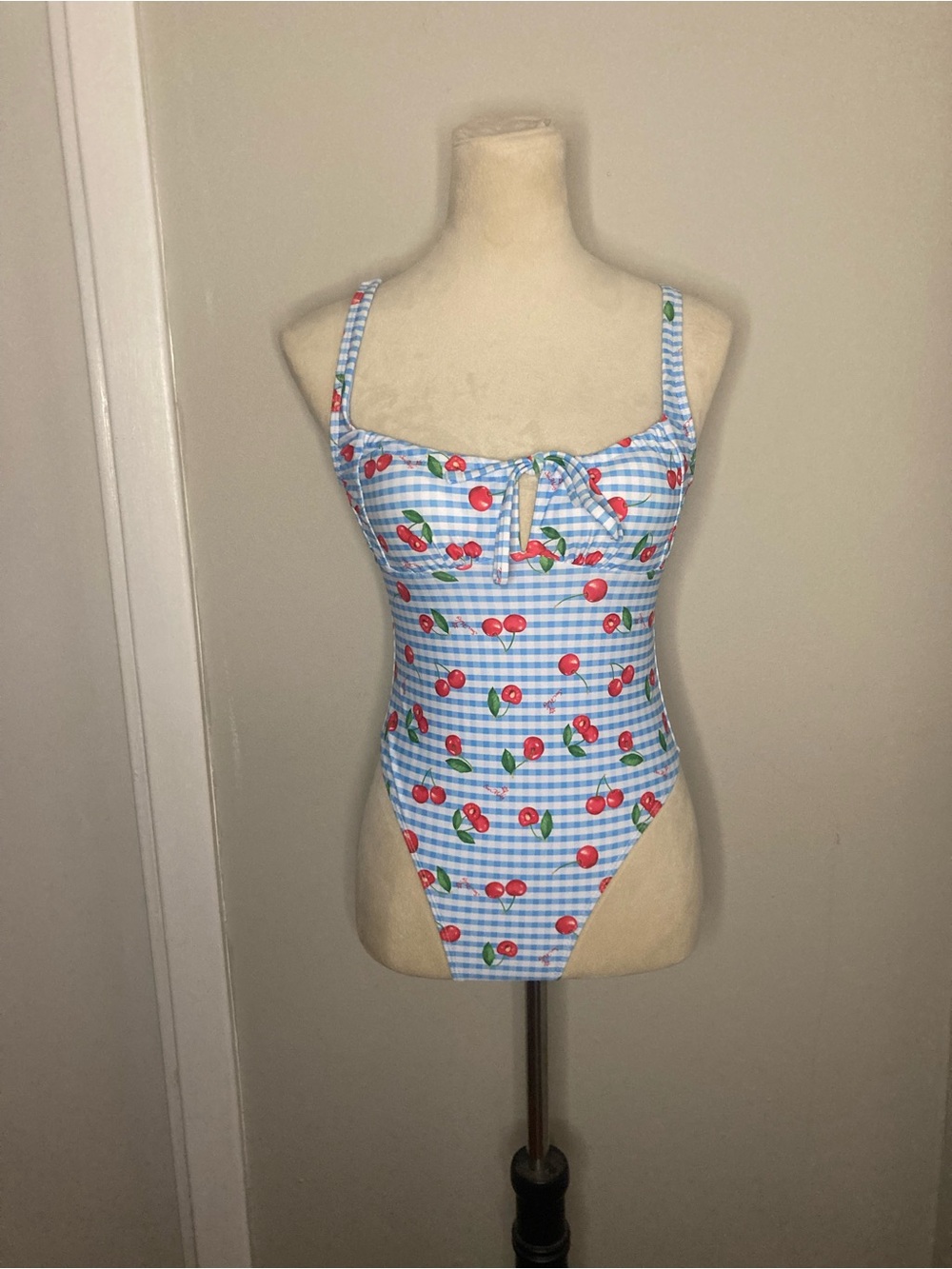 Seamolly Gingham and Cherries One Piece Swimsuit